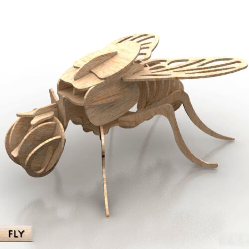 FLY