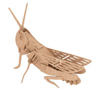 GRASSHOPPER
