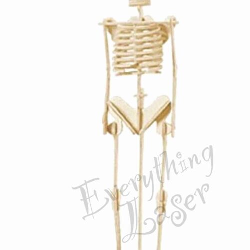 HUMAN SKELETON