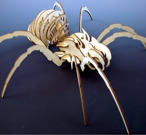 SPIDER