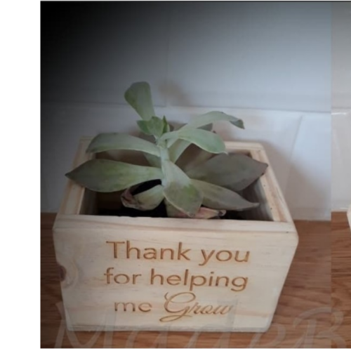 Plant box - Large