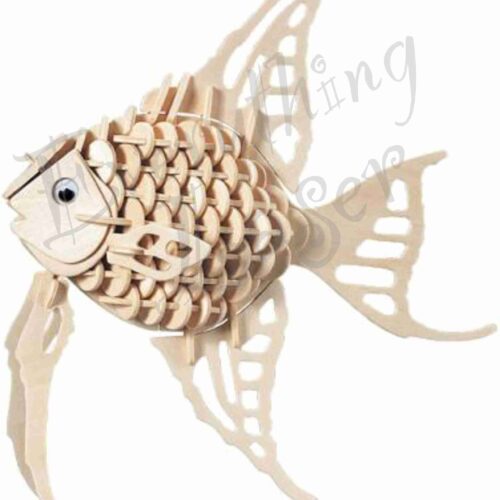 Angel Fish