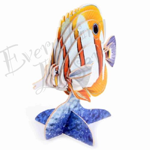 BUTTERFLY FISH