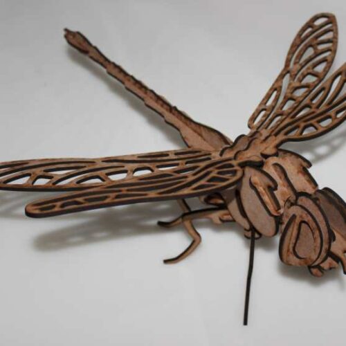 DRAGON FLY (SMALL)