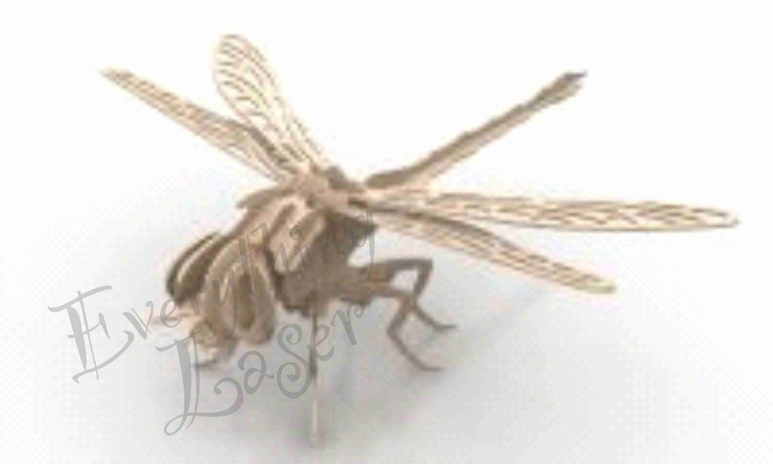 Insects & Reptiles
