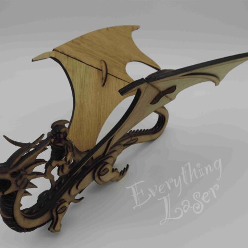 DRAGON RIDER
