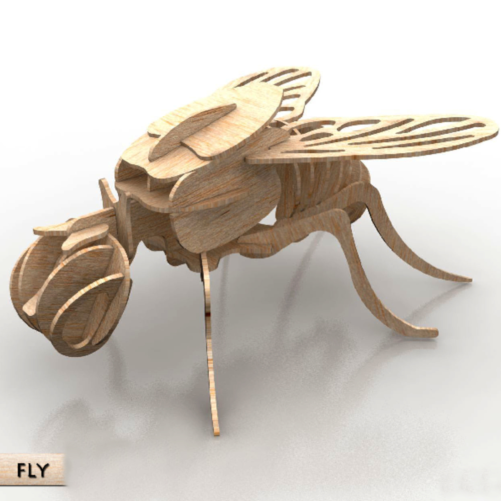 FLY