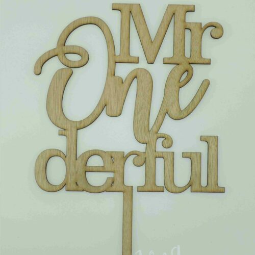 MR ONE-DERFUL