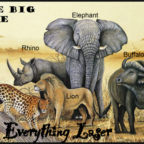 ANIMAL PACK - THE BIG FIVE