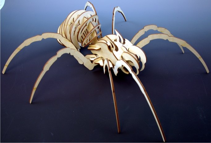 SPIDER