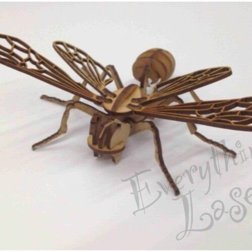 WASP